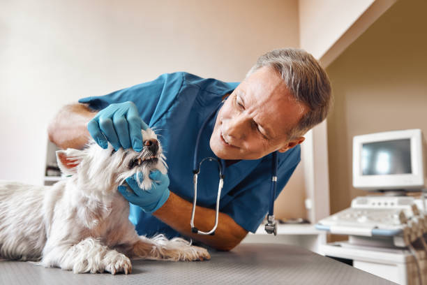 Best Emergency Tooth Extraction in Mission Bend, TX