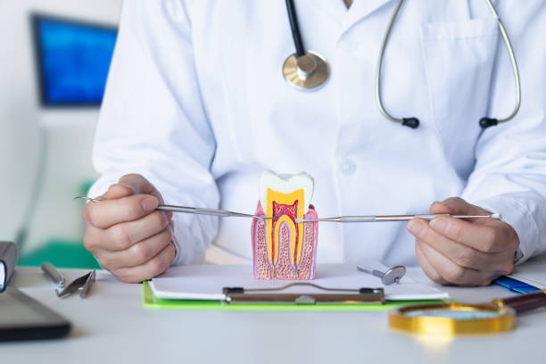 Best Emergency Treatment for Dental Infections or Abscesses in Mission Bend, TX